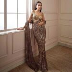 New-Bollywood-Designer-Georgette-Saree-1